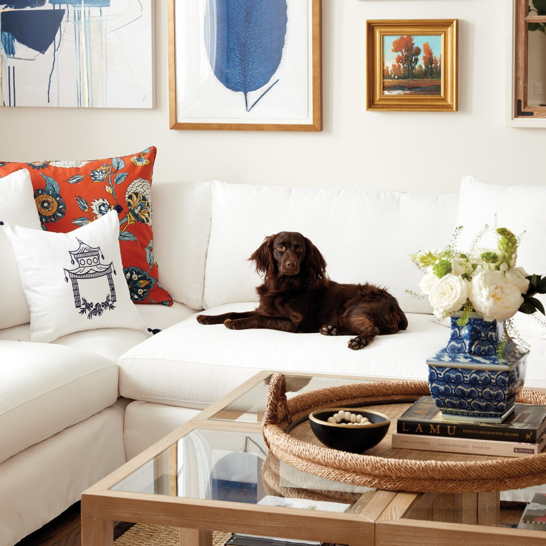 Pet-Friendly Home Décor: Practical and Stylish Solutions