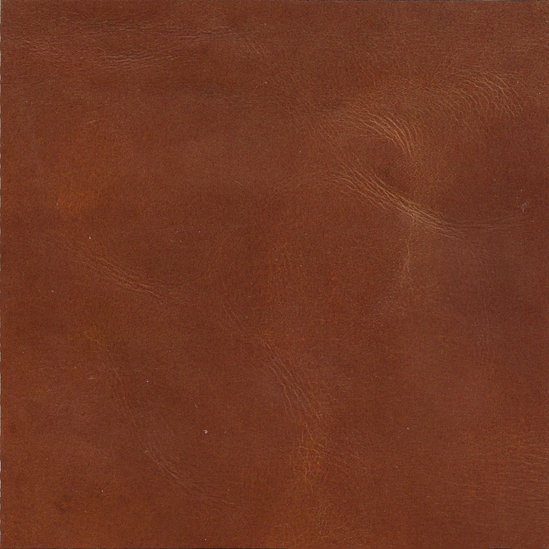 Bright Tan Genuine Leather