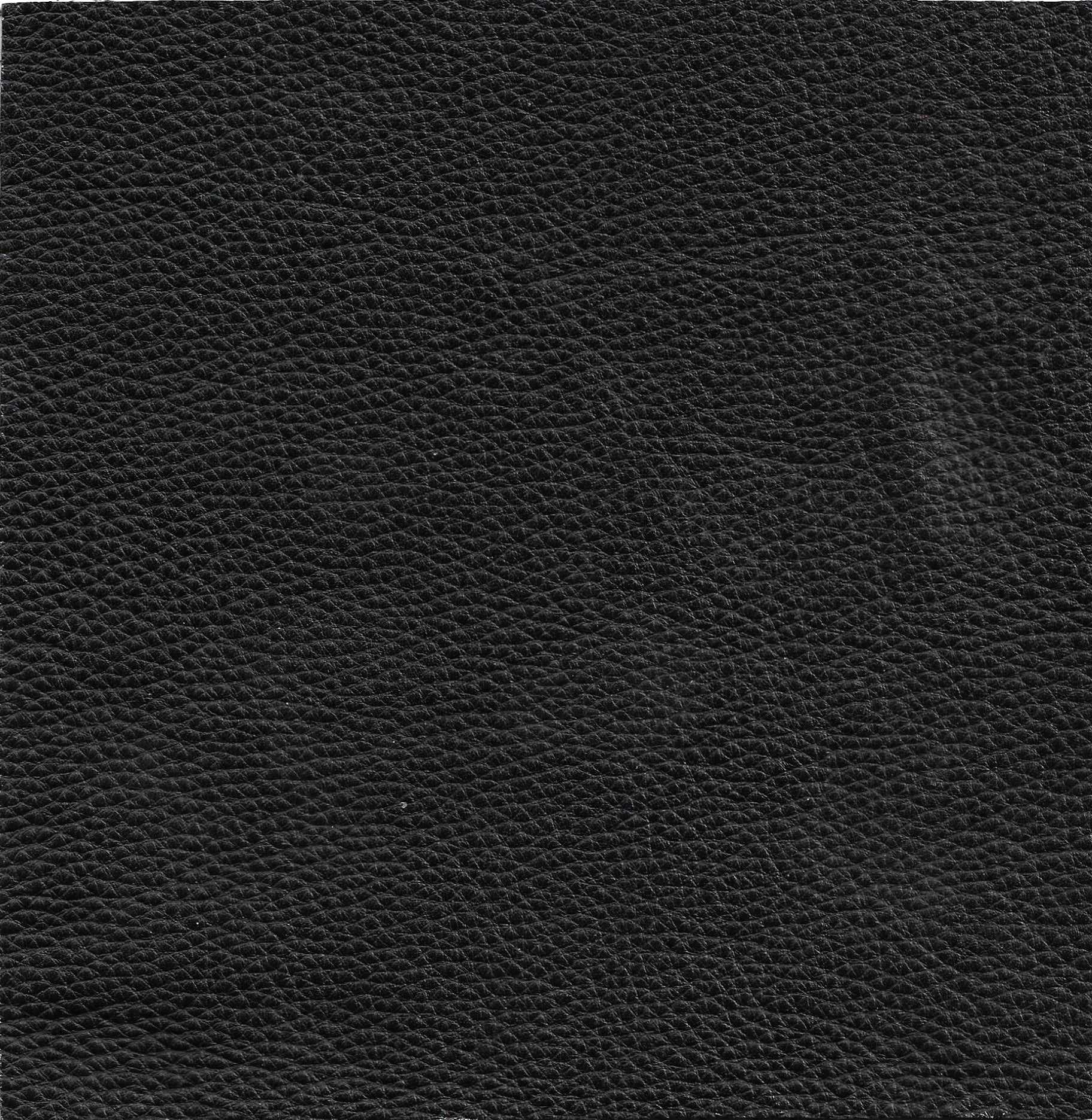 Leather Full Grain Black Cushion