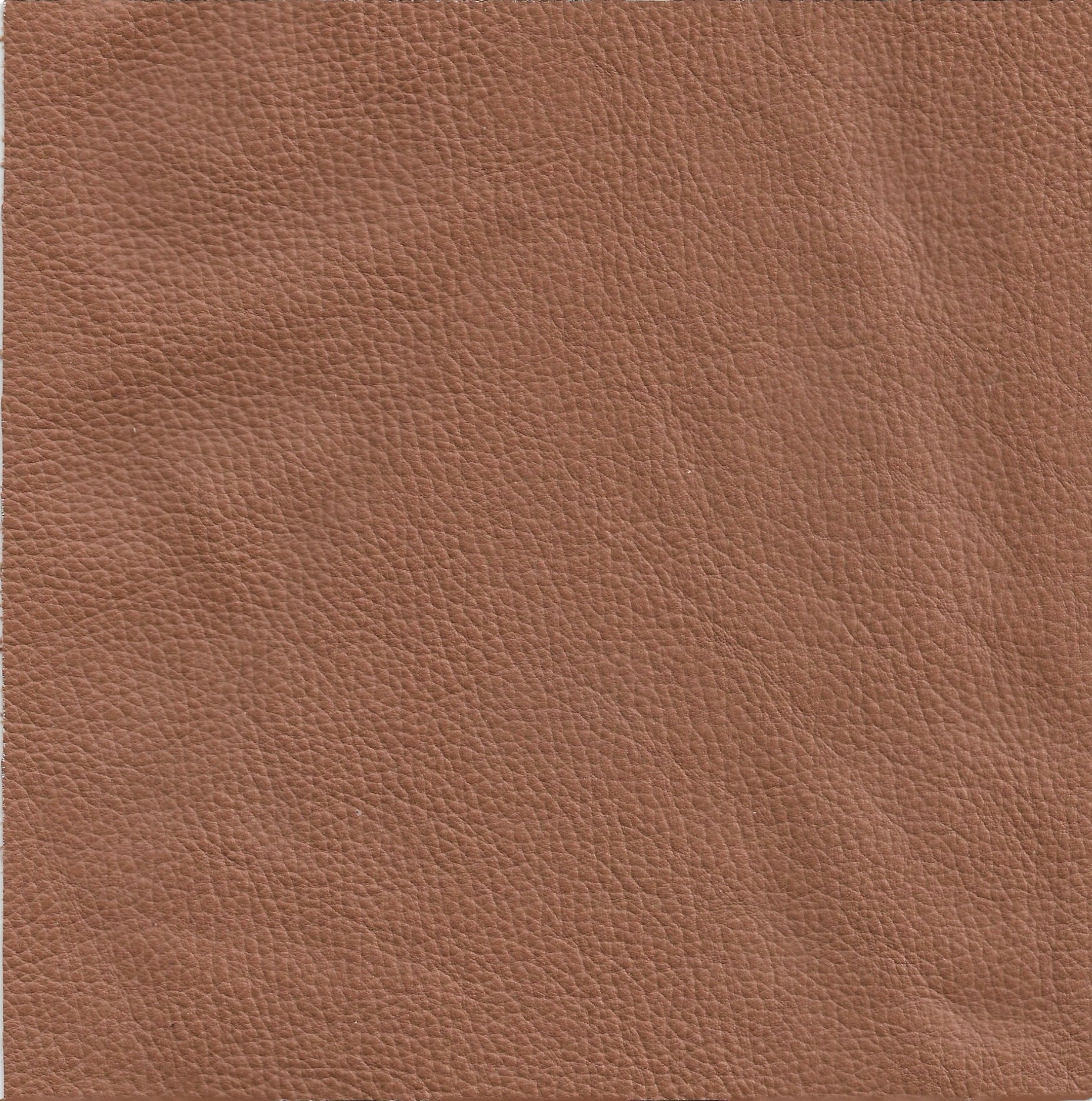 Leather Full Grain Tan Cushion