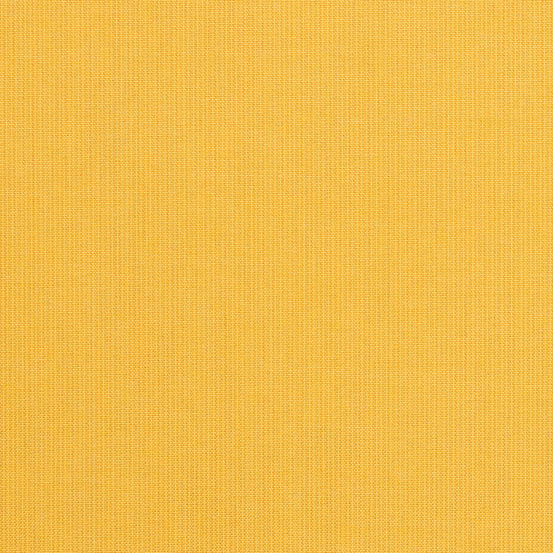 Spectrum-Daffodil_48024-0000